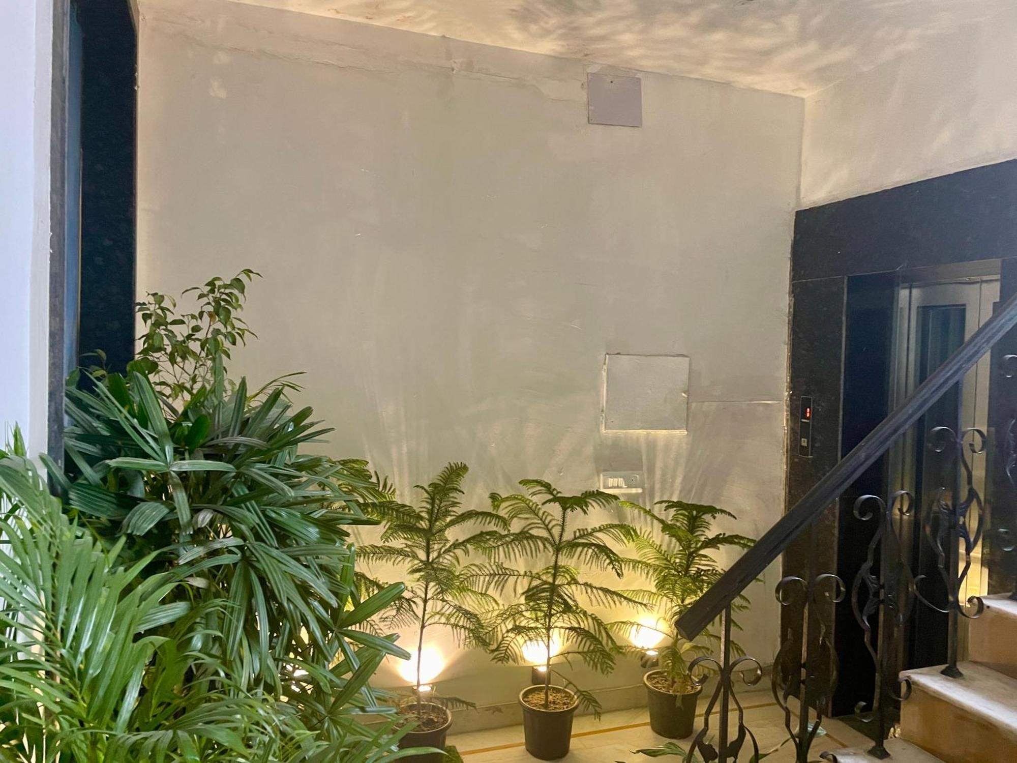 Lime Boutique B&B Gk-1 At Kailash Colony Metro , Greater Kailash Near Eros Hotel Nehru Place 新德里 外观 照片